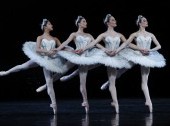 World-famous Swan Lake Ballet in St. Petersburg