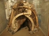 Krasnoyarsk Regional Museum