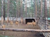 Wildlife Park, Open-Air Ethnographic Museum