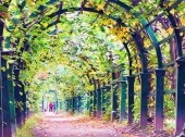 Upper Garden in Peterhof