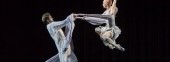 A ballet by Boris Eifman "Tchaikovsky. PRO et CONTRA"