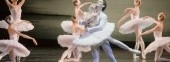 State Academic Leonid Yacobson Ballet Theatre - Swan Lake