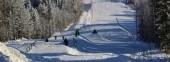 Mount White