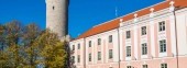 Parlament Building and Tall Hermann Tower