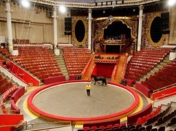 Nikulin State Classical Moscow Circus - rehearsal