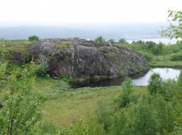 Murmansk city tour - Lamb forehead