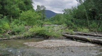 Paratunka thermal springs