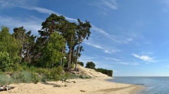 Curonian Spit