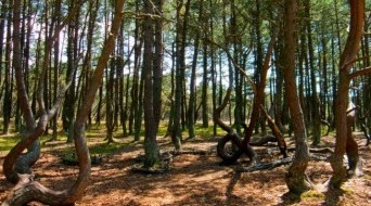 Curonian Spit