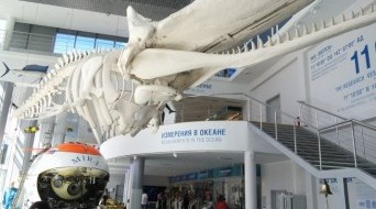Museum of World Ocean