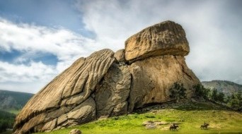 Turtle Rock