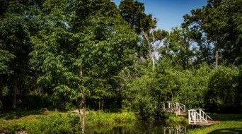 Bolshekhekhtsirsky Nature Reserve