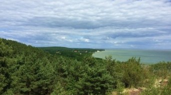 Sambia Peninsula (Samland, Kaliningrad Peninsula)