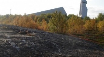 Lamb's brow near Lake Semyonovskoe