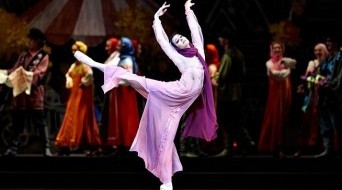 "Rock flower" Sergei Prokofiev (Ballet in 2 acts)