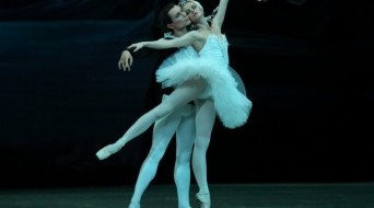 Swan Lake