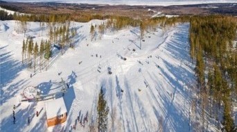 Cross-country Skiing in a Siberian Forest