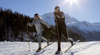 Cross-country Skiing in a Siberian Forest