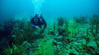 Diving on Baikal