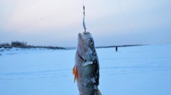 Ice Fishing in Yakutsk