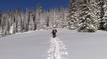 Skiing trip in taiga