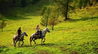 Horse Riding