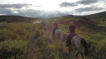 Horse Riding