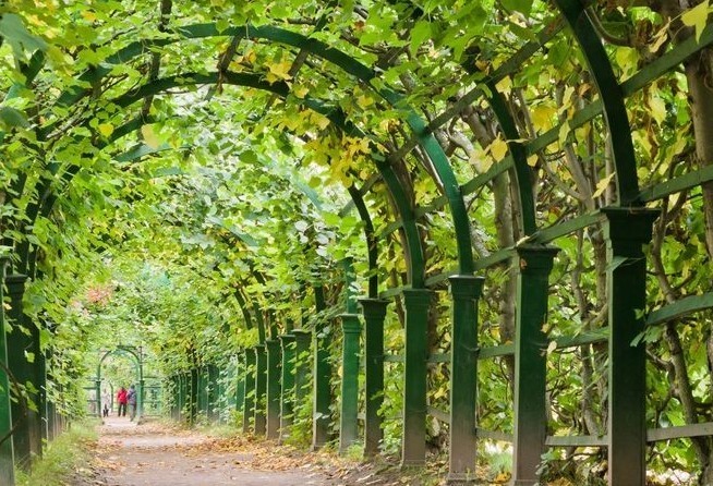 Upper Garden in Peterhof