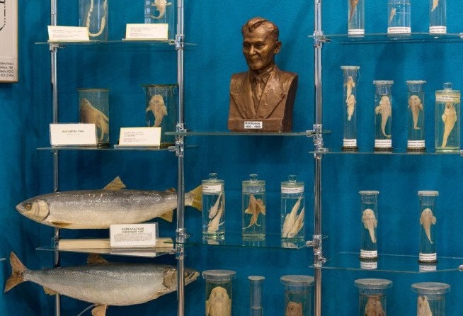The Limnological Museum, Listvyanka