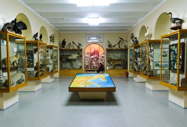 Museum of Regional Studies named after Mr. Grodenkov