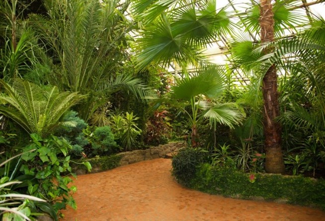 Khabarovsk Botanical Garden