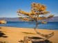 Autumn on the Olkhon Island.