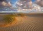 Curonian Spit