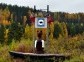 Medvezhyegorsk