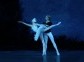 Swan Lake (Ballet in 4 acts)