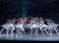 Swan Lake (Ballet in 4 acts)