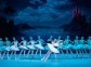 Peter Tchaikovsky "Swan Lake" (Ballet in 3 Acts)