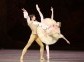 Peter Tchaikovsky "Sleeping Beauty" (ballet-fierie in three acts with a prologue and apotheosis)