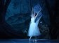 Adolphe Adam "Giselle (Les Wilis)" (Ballet in 2 Acts)