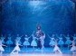 The Nutcracker