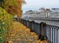 Tree branches with autumn leaves hanging over the Fontanka River, Summer Garden