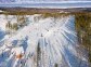 Cross-country Skiing in a Siberian Forest
