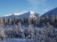 Cross-country Skiing in a Siberian Forest