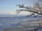 Cross-country Skiing in a Siberian Forest