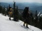 Cross-country Skiing in a Siberian Forest