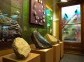 Museum of Geology Yekaterinburg