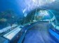 Vladivostok Aquarium (Oceanarium)