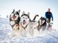 The Husky centre Lake Baikal