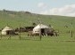 Typical tent settlement of the nomadic herdsmen, Mongolia