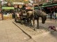 Main pedestrian street, Harbin